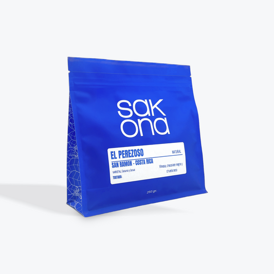 El Perezoso - Costa Rica