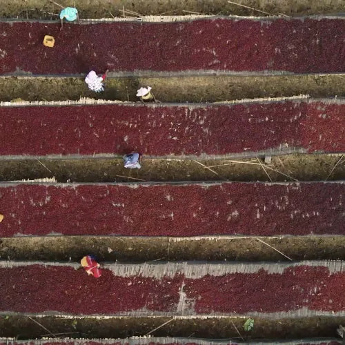 Buku Sayisa - Ethiopia