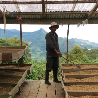 Café del Futuro - Perú