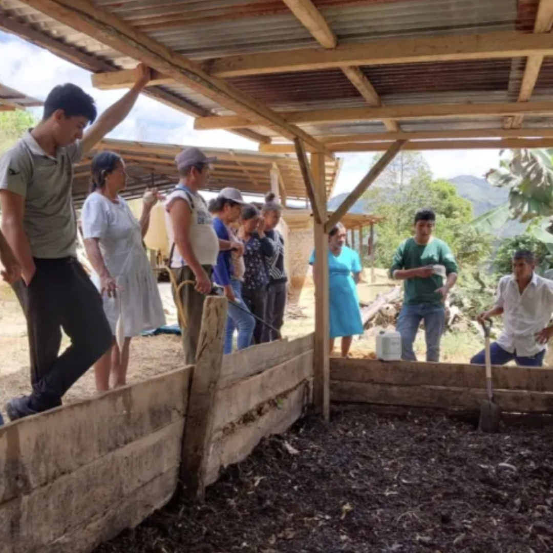 Café del Futuro - Perú